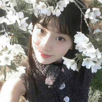 镜子战争